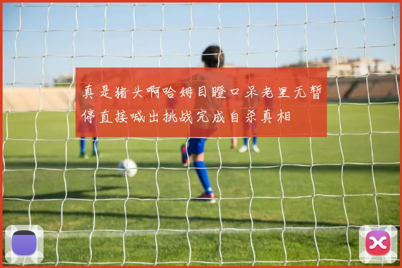 真是猪头啊哈姆目瞪口呆老里无暂停直接喊出挑战完成自杀真相